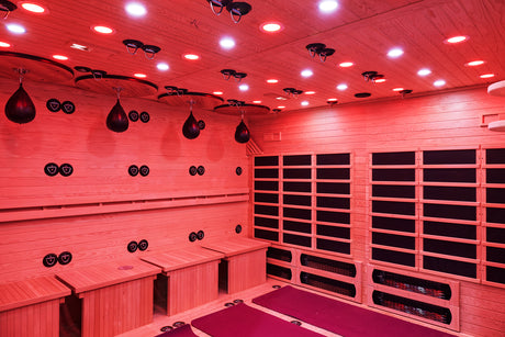 XL Infrared Sauna