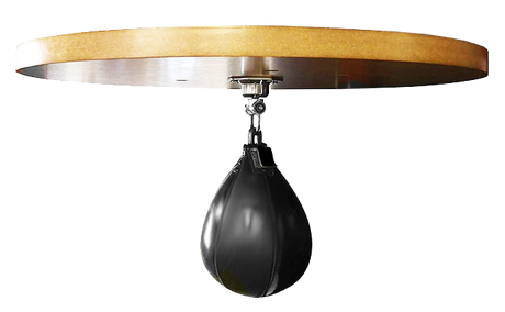 Fitbomb Speed Bag Kit image 0